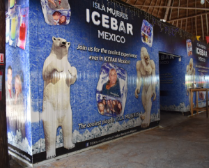 The Ice Bar is one of those experiences that is worth it if you are in a group.